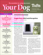 Your-Dog October 01, 2022 Issue Cover