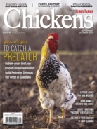 Chickens September 01, 2020 Issue Cover