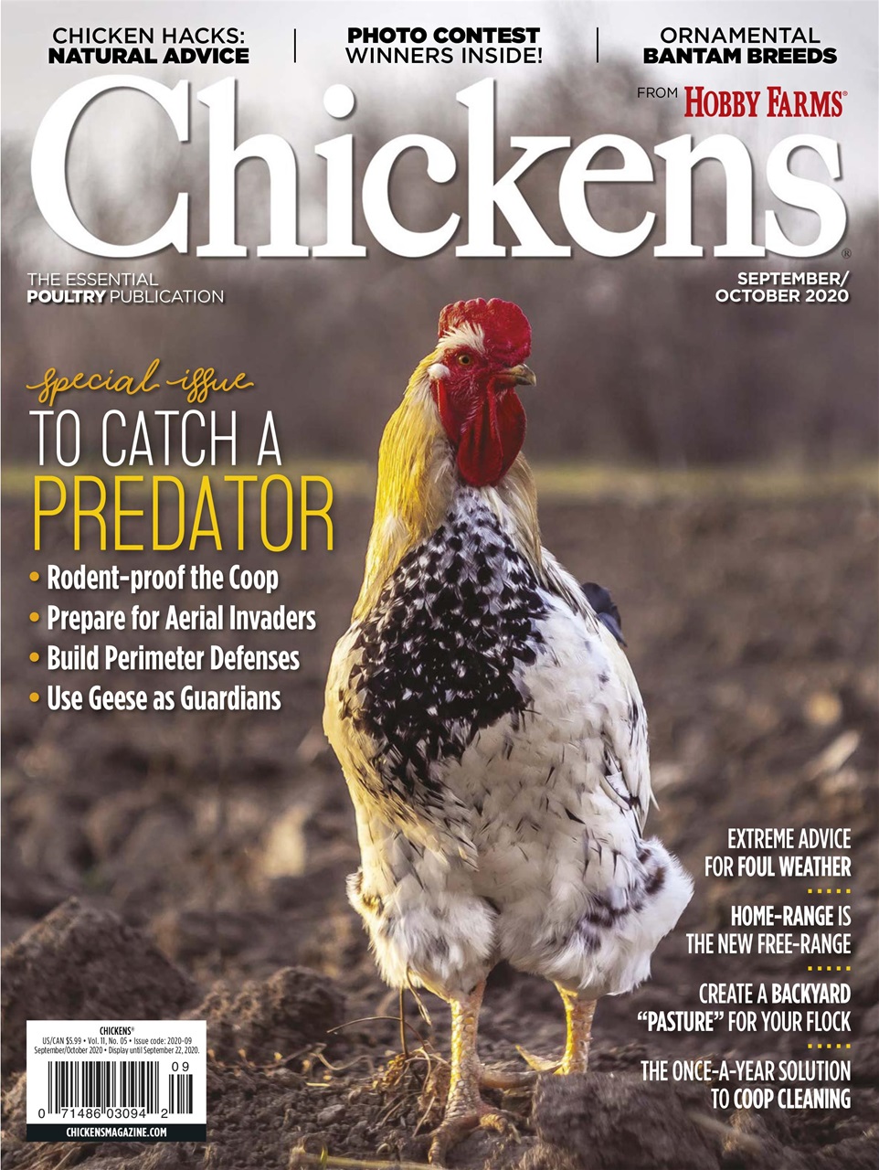 Chickens September 01, 2020 Issue Cover