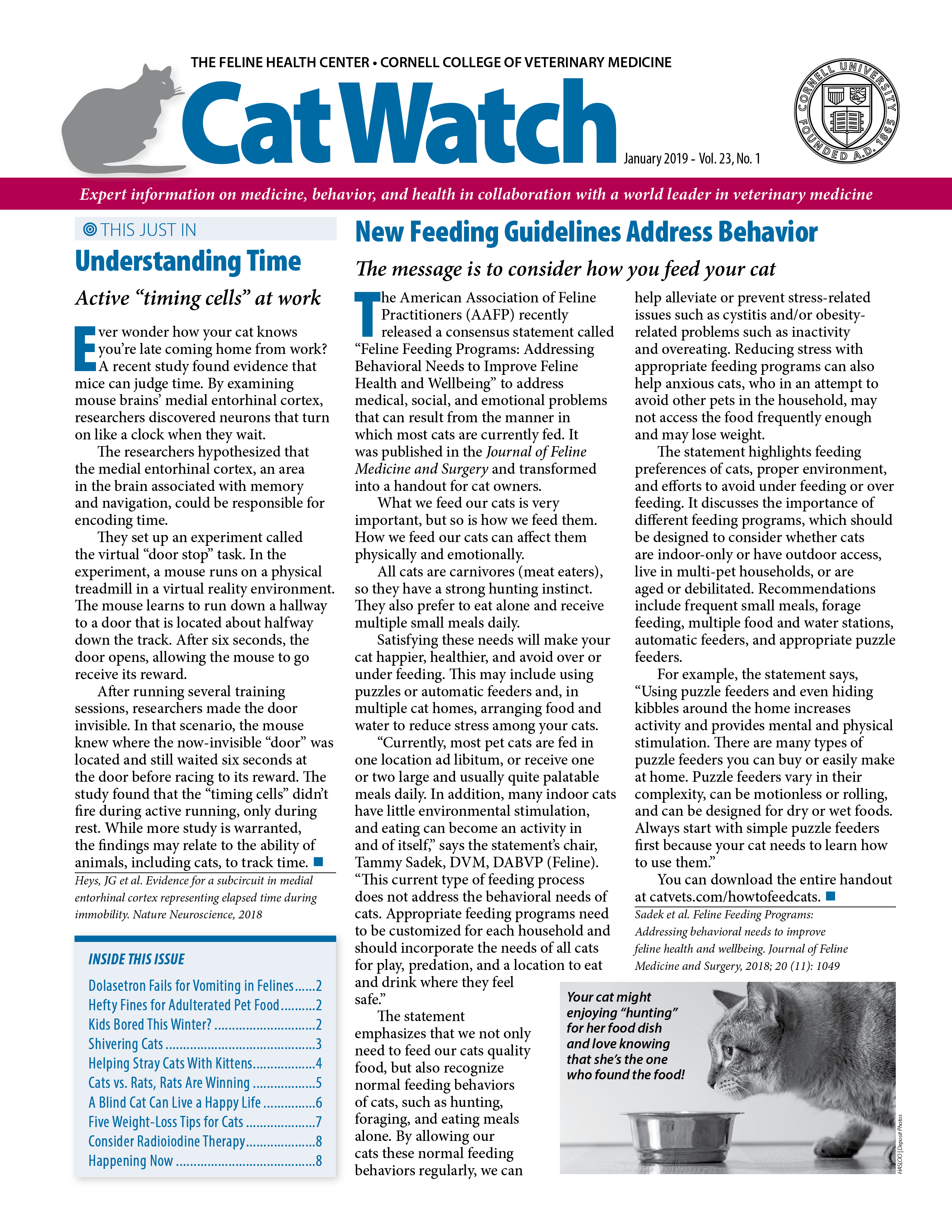 Catwatch January 01, 2019 Issue Cover