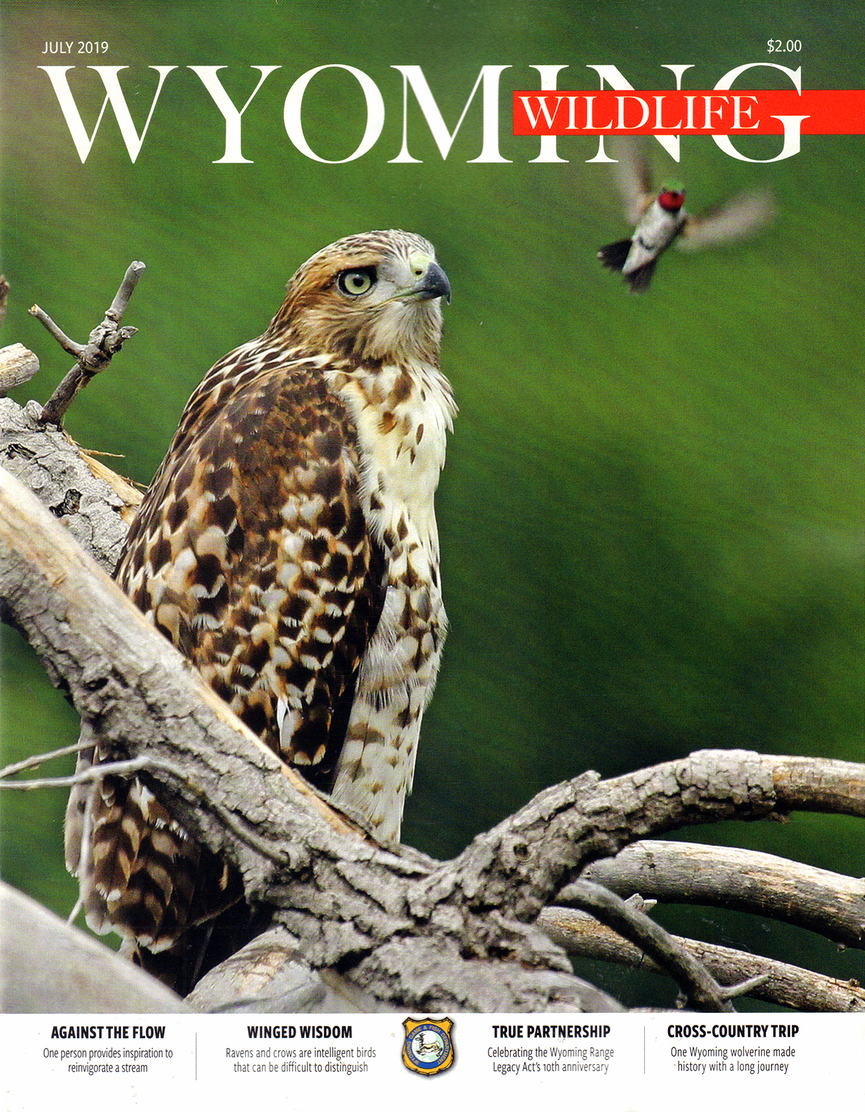 Wyoming-Wildlife July 01, 2019 Issue Cover