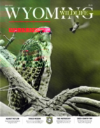 Wyoming-Wildlife July 01, 2019 Issue Cover