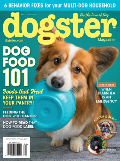 Dogster April 01, 2019 Issue Cover