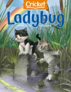 Ladybug March 01, 2024 Issue Cover