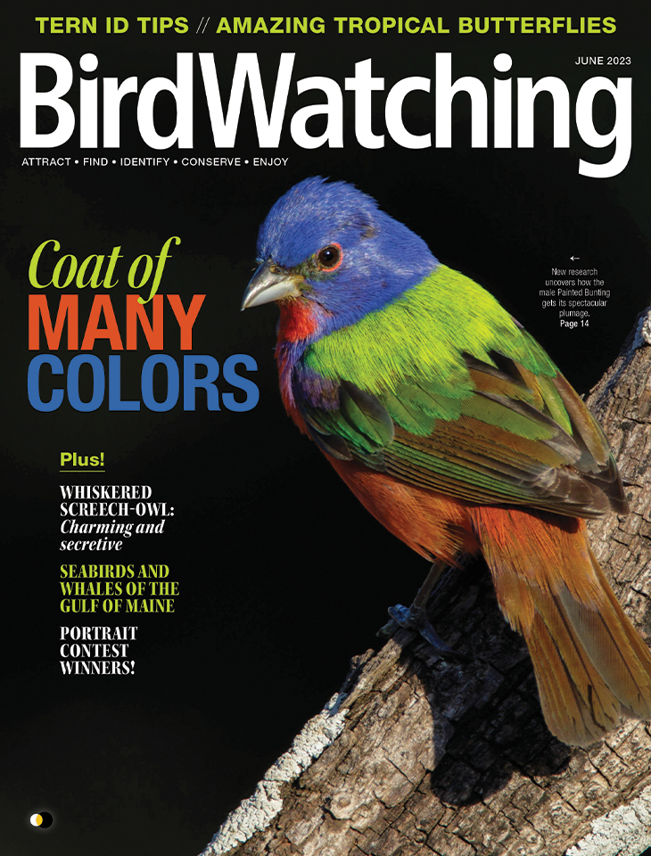 Bird-Watching June 01, 2023 Issue Cover