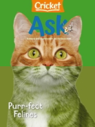 ask February 01, 2025 Issue Cover