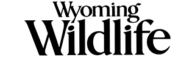 Magazine Agent