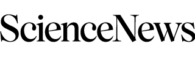 Magazine Agent