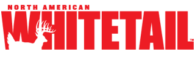 Magazine Agent