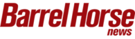 Magazine Agent