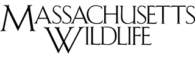Magazine Agent