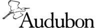 Magazine Agent