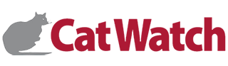 Catwatch magazine