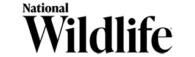 Magazine Agent