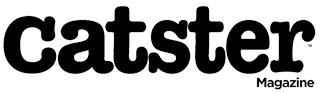 Catster magazine