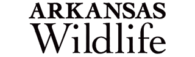 Magazine Agent