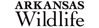 Arkansas Wildlife magazine